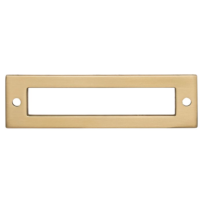 Hollin 3 3/4" Centers Pull Backplate in Honey Bronze